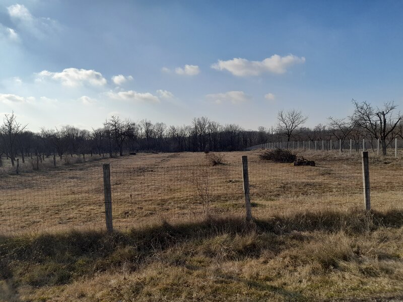 Cotmeana de Arges, sat Costesti.